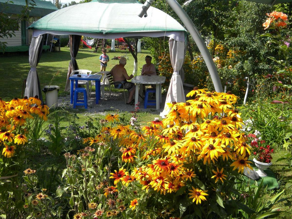 Camping Casuta Mihaela Crişan Dış mekan fotoğraf